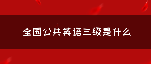 全国公共英语三级是什么(图1)